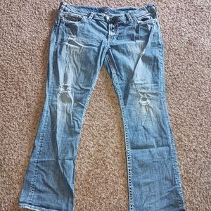 Silver Tuesday Baby Boot Plus Size Jeans 24/33